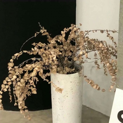 浑南福瑞交流群